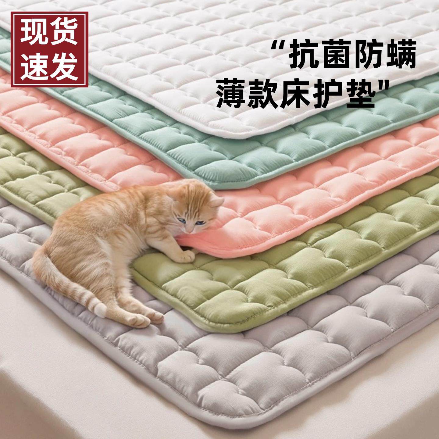 防滑床垫薄款宿舍学生单人租房专用软褥子铺底90x200cm隔脏保护垫