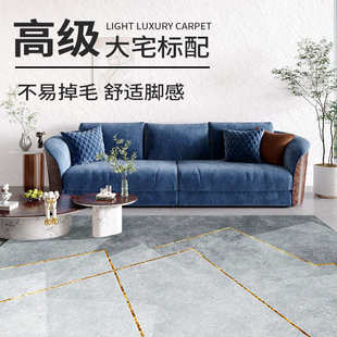 地毯客厅大面积现代简约茶几毯家用免洗床边毯地垫卧室ins北欧风