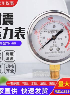 压力表YN601/4螺纹耐震径向压力油压水压气压0-1.6/100MPa多量程