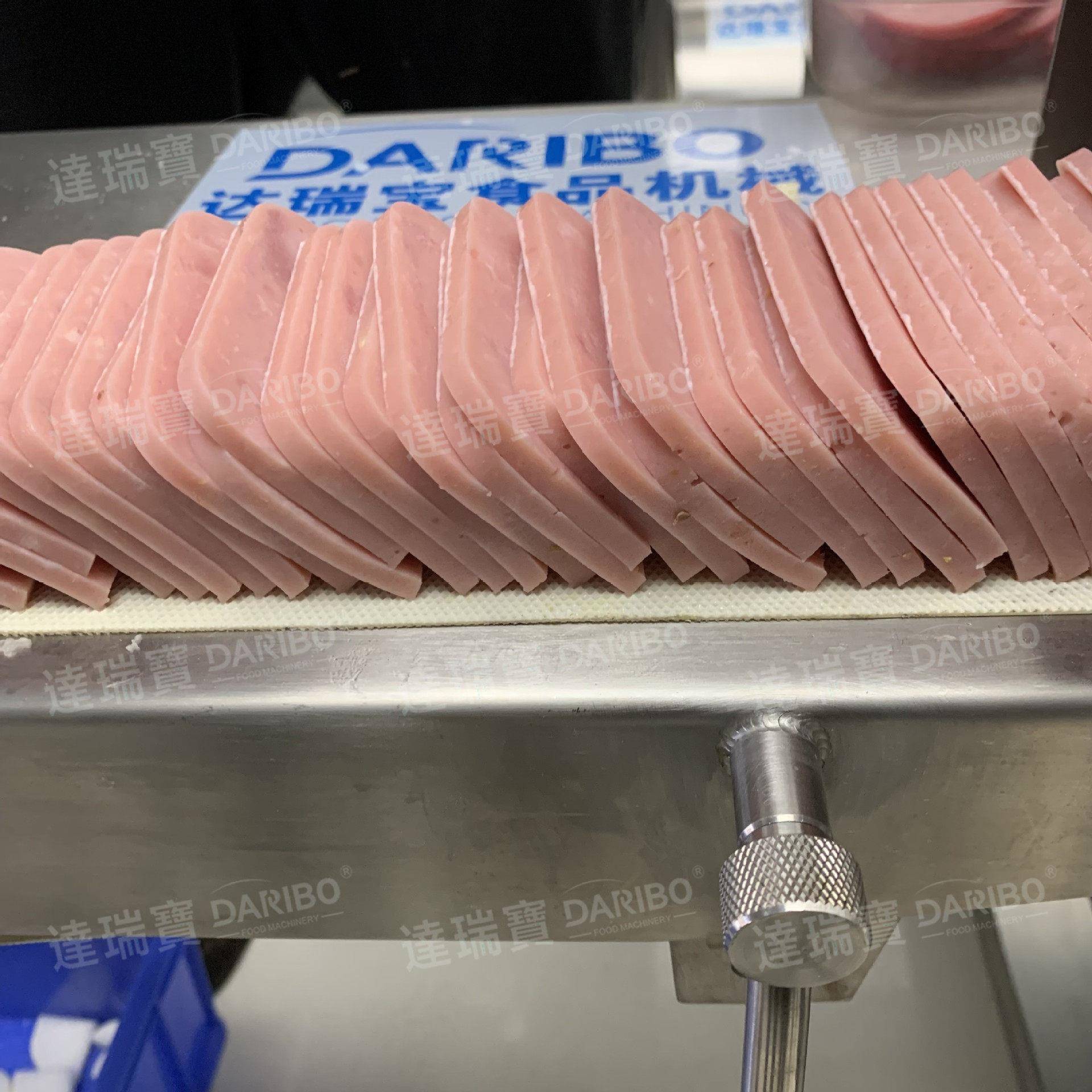 *鸡胸肉腊肉香肠切片机 皮蛋肠猪皮切段设备猪舌猪耳切丝机