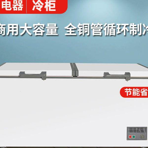 冰柜商用全冷冻柜家用冷藏两用大容量卧式双温小型冷柜雪糕柜冰箱
