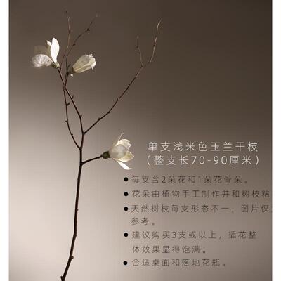 新款客落地天厅然兰干仿枝玉干花花束干支干树枝树装饰玉兰花真花