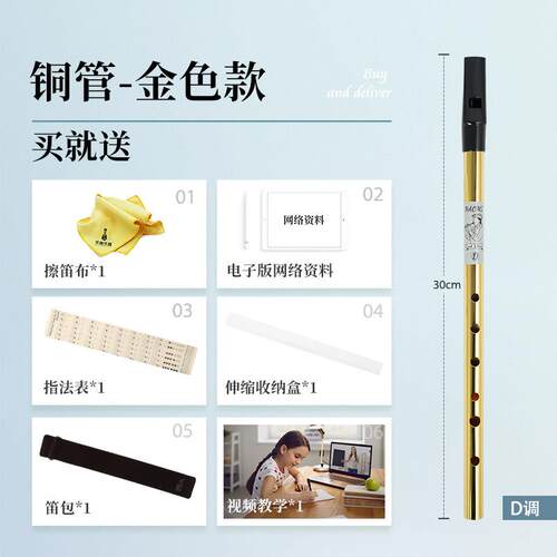 新款AOMI爱尔兰哨笛 N美国品牌C调D调高音直6笛孔初学竖笛