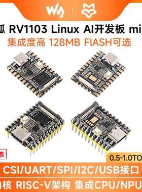 幸狐 RV1103微型Linux开发板Luckfox Pico Mini 0.5TOPS AI算力