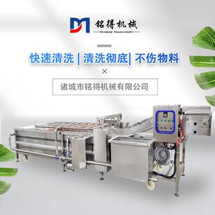 铭得竹笋清洗机大型蔬菜海鲜气泡喷淋清洗机农作物果蔬清洗设备