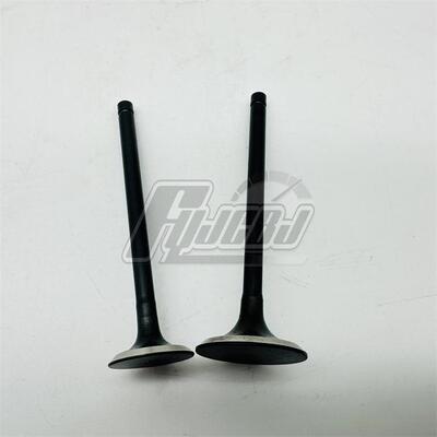 比亚乔配件FLY150/125/RAI/台风/唯我125两气门进排气门一对