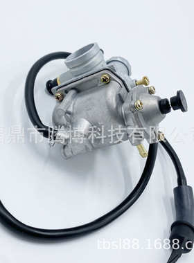化油器适用于铃木ALT125 Quadrunner 125 LT125 Carb 1320-108912