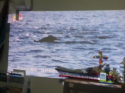 明基投影仪GV1怎么样?使用三个月彻底受不了,内幕揭秘