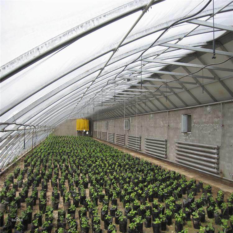 温骨室大棚架大蔬大棚养殖大棚连栋大棚VMV菜种植大棚单体棚