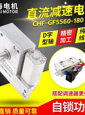 驰海工厂直销GF5560-180 永磁直流齿轮减速电机带自锁功能马达12V