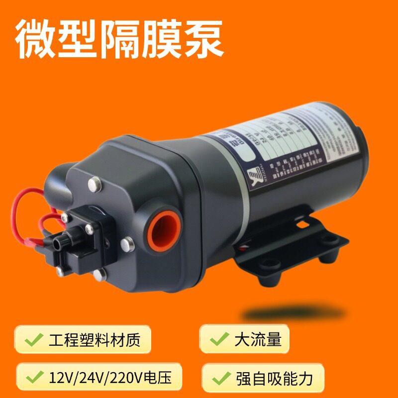 DP-35|厂家直营|大流量隔膜泵|直流房车泵|微型电动隔膜水泵