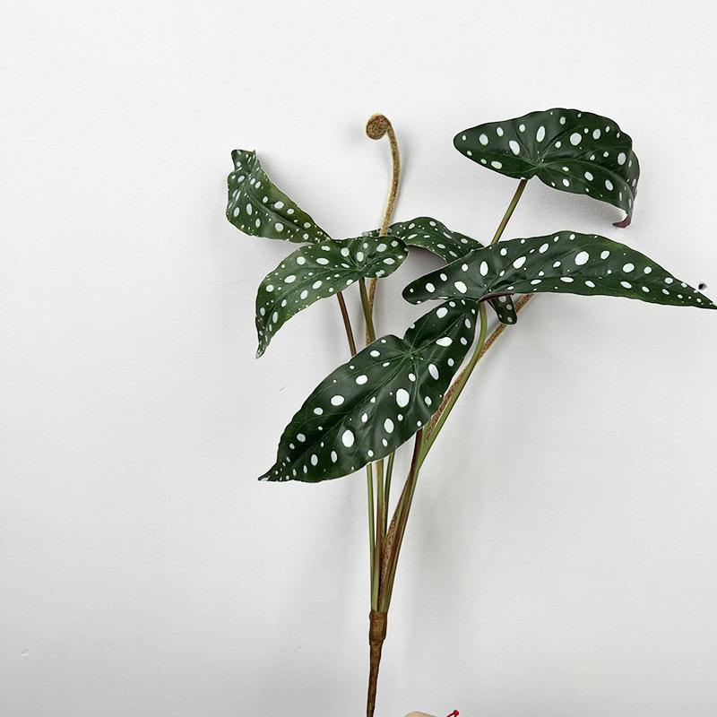 新款直销8头扎束秋海棠 仿真植物秋海棠叶酒店家居插花植物墙造景