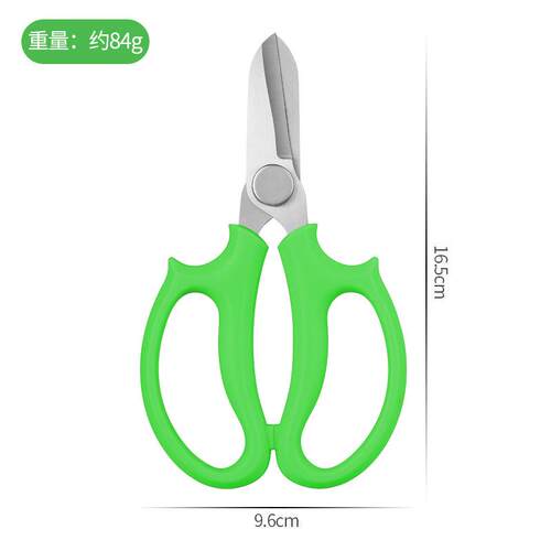 园林园艺花艺剪刀家用专业修枝剪剪鲜花插花剪花枝花店专用工具剪