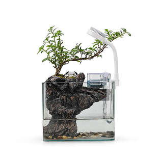 迷你小型斗植鱼缸bc10超生态缸微白鱼缸水绿桌面造景观家用流玻璃