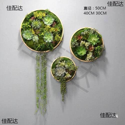 创意绿植墙体植圆形墙壁餐厅墙面框装饰壁挂花植物挂墙客厅