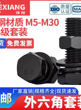 8.8级外六角螺丝螺母套装国标高强度螺栓平弹垫组合【M5M6M8】AI