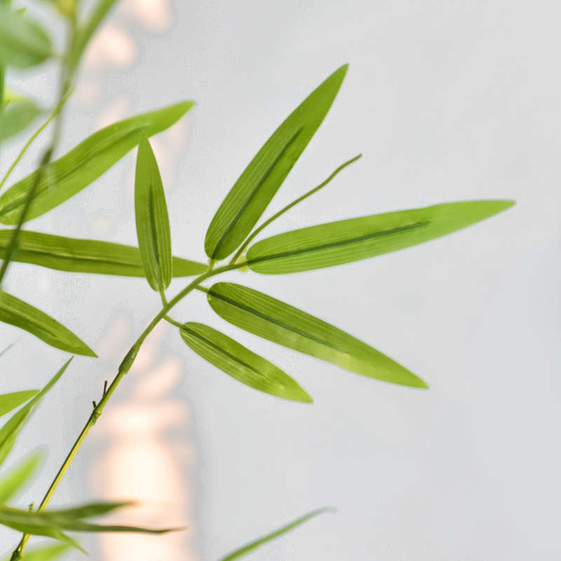 仿真竹子室内装饰隔断挡墙人造竹子底座户外造景防真假毛竹绿植物