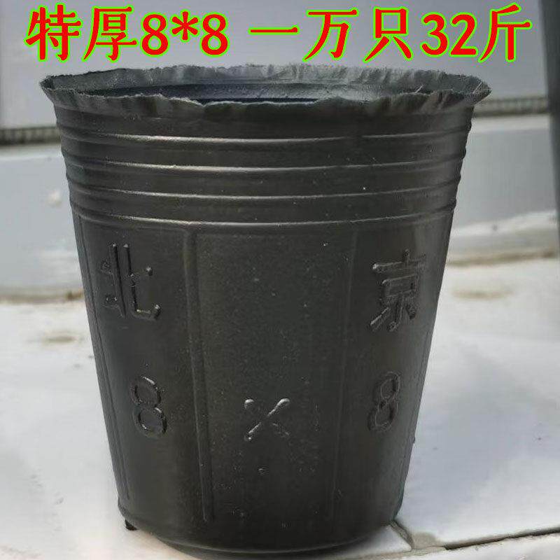 营养钵黑色塑料育苗杯育苗袋育苗盆一次性花盆加厚8*8营养杯西瓜