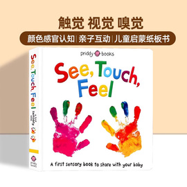 触觉视觉嗅觉感官认知触摸书英文原版绘本 See Touch Feel A First Sensory Book幼儿童早教启蒙英语读物亲子互动游戏书内附小镜子