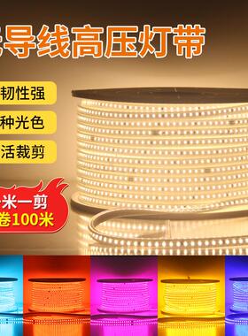 LED高压无导线灯带220V防水灯条工程家用吊顶LED通电即亮高亮度