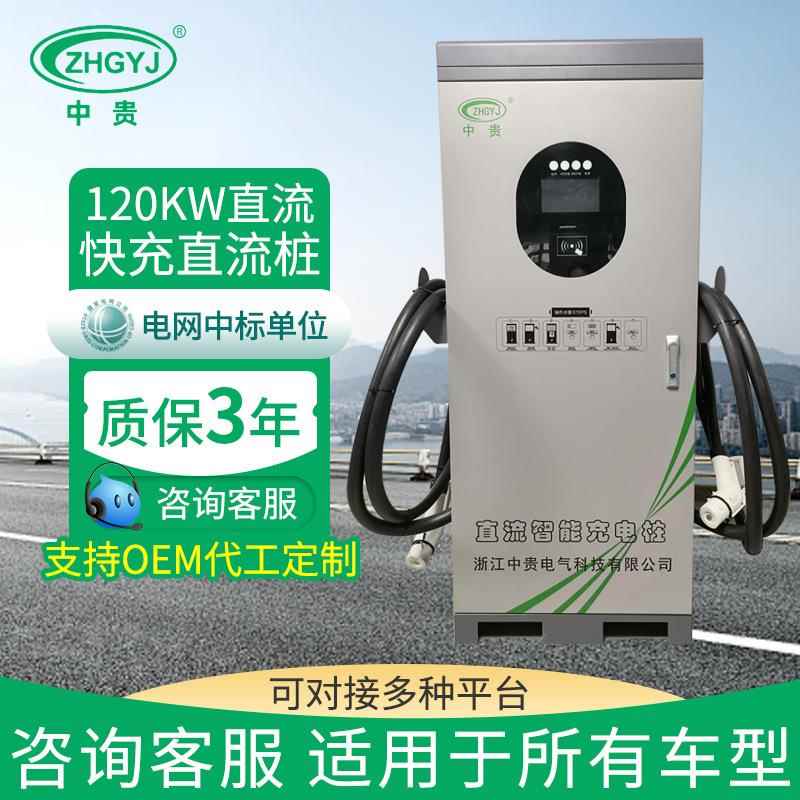 新能源电动汽车120KW双枪直流快充充电桩商用家用快充直流充电桩