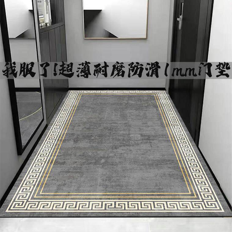超薄1mm入户门进门脚垫不卡门地垫级薄款门口门垫可裁剪防滑地毯