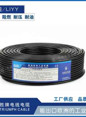 胜牌直销PVC聚氯乙烯H05VV-F电源插头主机连接护套线VDE欧规认证