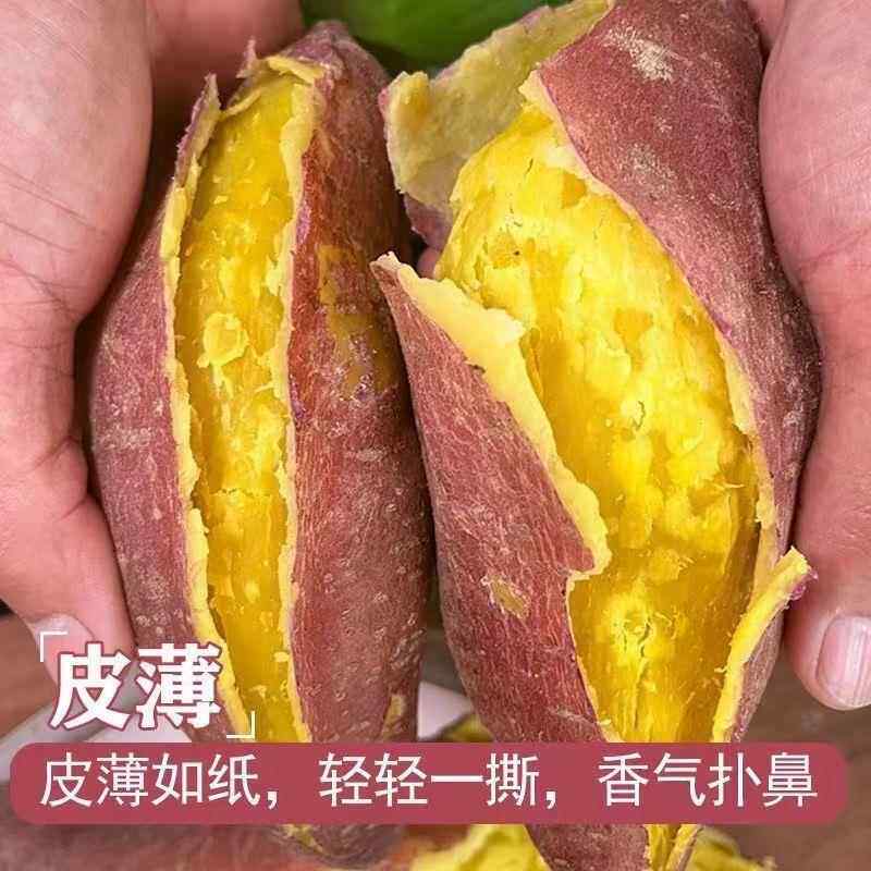 板栗红薯新鲜地瓜番薯蜜薯黄心9斤农家自种沙地栗子软糯红皮半亩
