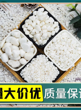 40斤白色石子石头鹅卵石庭院铺路铺地阳台造景装饰白石子小白石头
