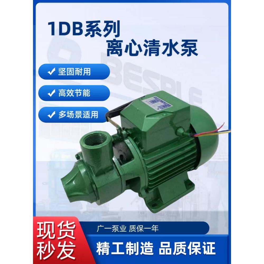 广州一泵1DB-45型清水泵 家用增压泵550W清水泵 广一泵业清水泵