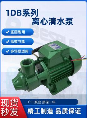 广州一泵1DB-45型清水泵 家用增压泵550W清水泵 广一泵业清水泵