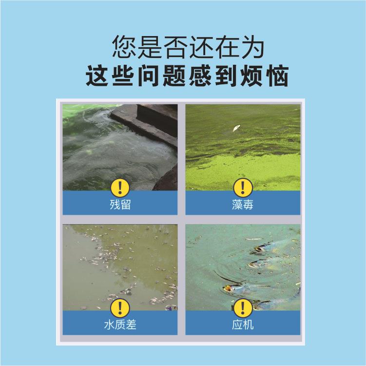 解藻毒碧水安小龙虾蟹鱼塘调节PH改底活水素水产养殖解藻毒