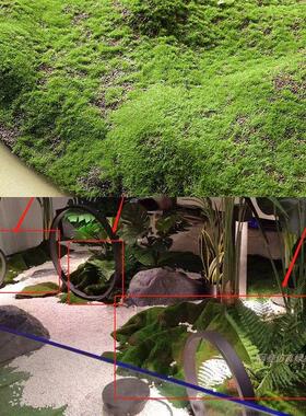 仿真植物造景铺面假草皮草坪人造假苔藓装饰商场室内橱窗造景装饰