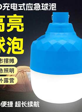 lde充电灯泡摆摊夜市灯不插电长续航地摊灯可移动式家用露营球泡