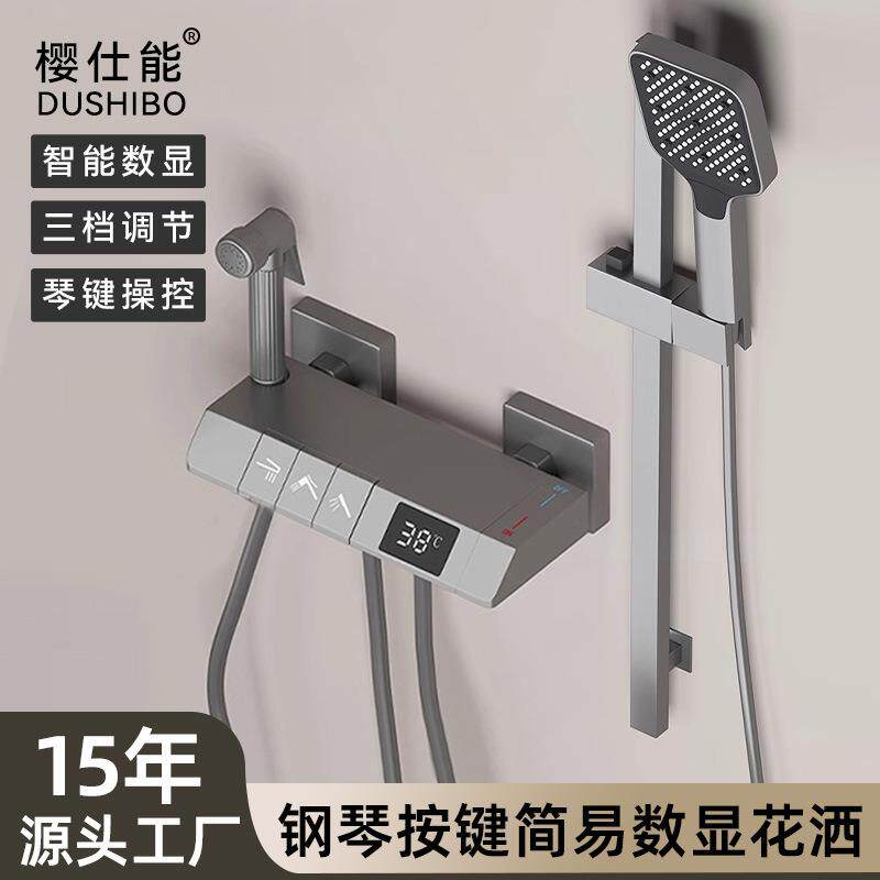 花洒全铜套装增压喷头手持式无顶喷简易工程喷枪带升降杆淋浴器