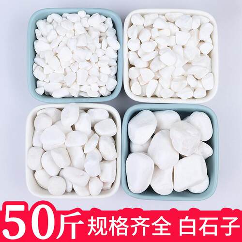 50斤白石子白色鹅卵石铺地园林庭院铺路造景枯山水天然原石小石头