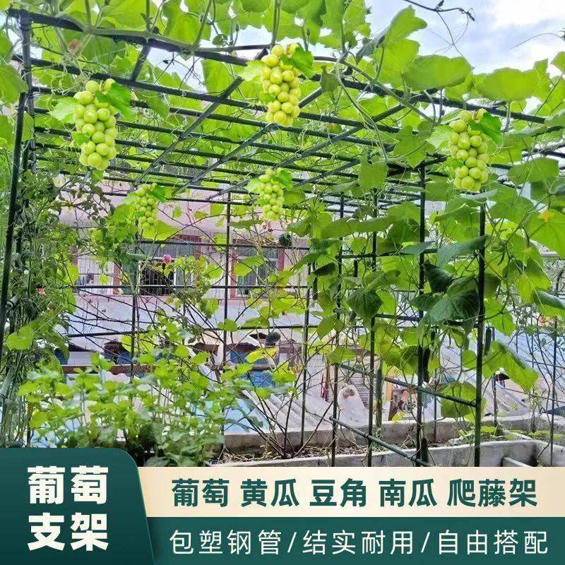 爬藤架葡萄架子庭院户外葫芦爬藤杆支架植物攀爬杆菜园瓜果支伸缩