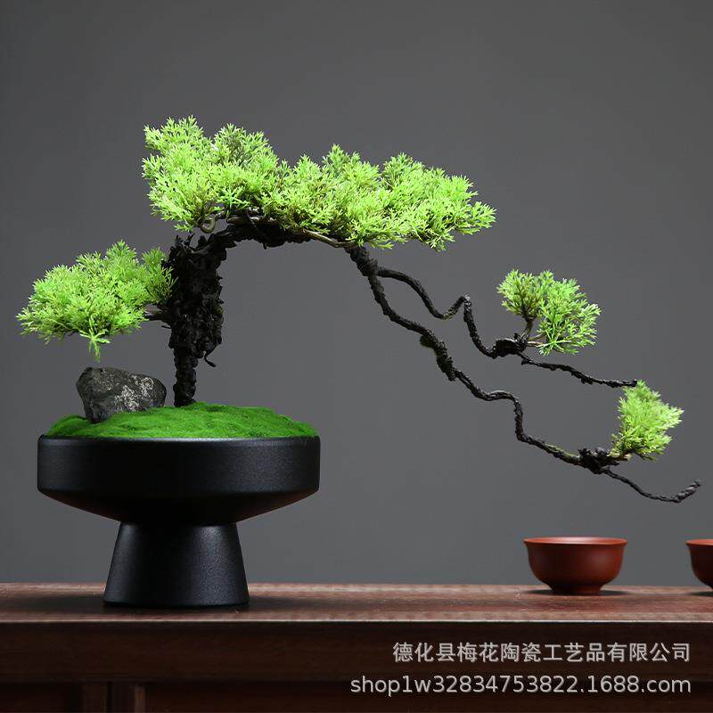 仿生2023060景植造景苔藓微观蕨类植物盆栽盆景装新饰室绿内客厅