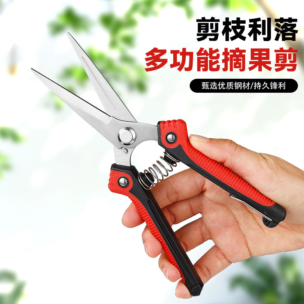 不锈钢果树剪刀剪枝尖头园艺剪