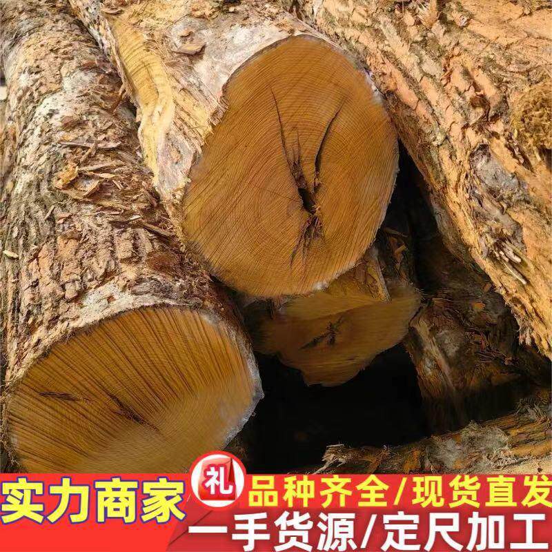 黄金木 柘木 柞榛木 黄花梨 桑柘 黄杨木木材金黄色 柘木黄金檀