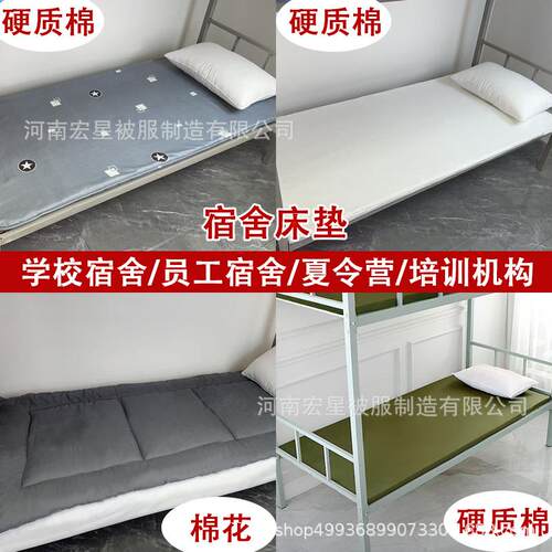 垫子单人床垫软垫加厚学生宿舍床垫租房专用垫被棉花床褥子铺底