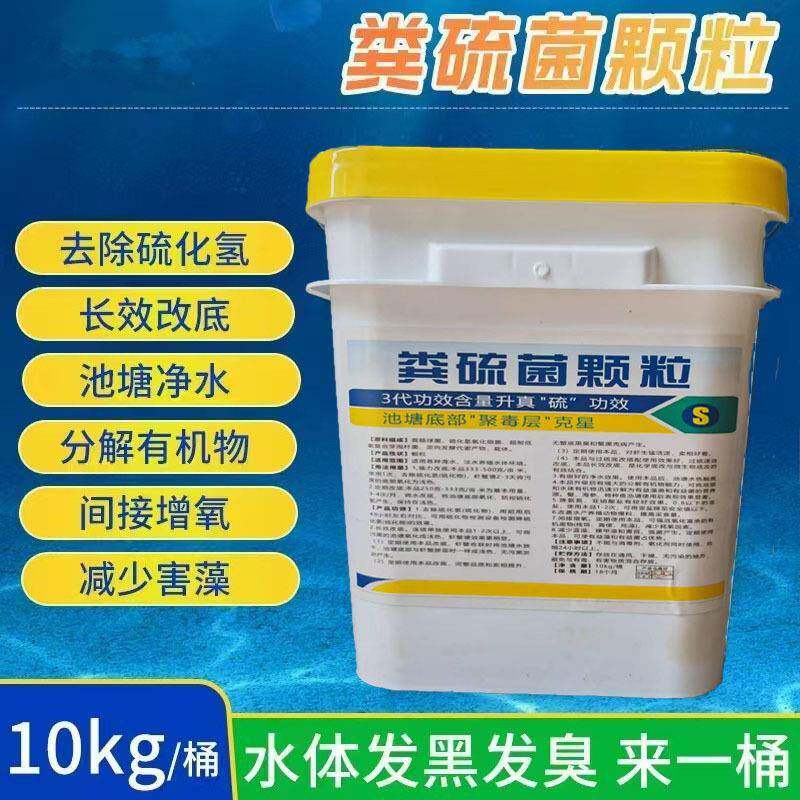 水产养殖粪硫菌颗粒水体用改良水质绿藻除菌池塘净水粪硫菌颗粒