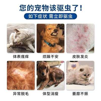 蜱虫专用药狗狗外用体外驱虫宠物狗身上的跳蚤药长癣皮肤病掉毛用