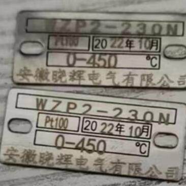 带保护套管抽芯式铠装热电阻双支铂电阻WZP-230WZP2-230NWZPK-230