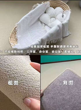 地板垫全隔音地毯铺裁剪可客厅地大面积办公室满铺灰色td61卧室钢