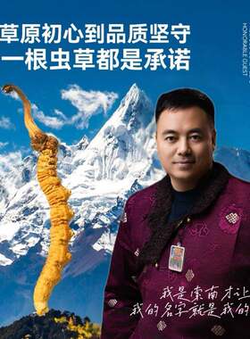索南才让青海玉树野生冬虫夏草官方经营店头期正品干货虫草礼盒装