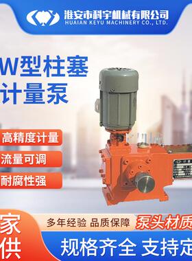J-W型柱塞式计量泵不锈钢柱塞泵加药定量泵中高压耐高温化工泵