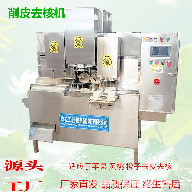 全自动商用带核水果去皮去核机 膨化果干前处理削皮去核切片设备