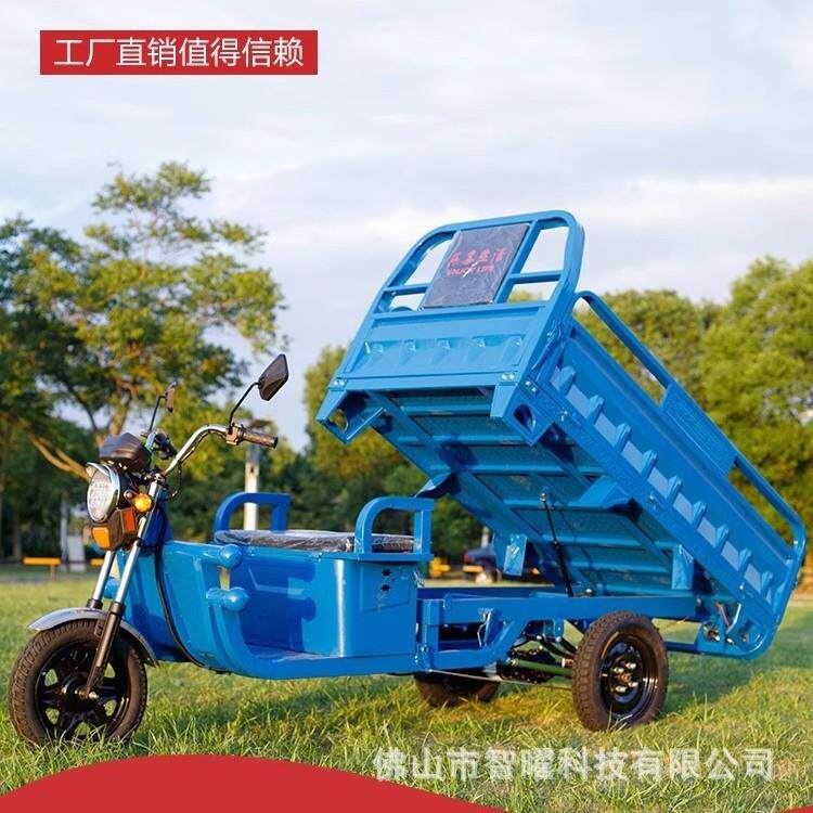 电动三轮车电拉家用小农用三轮型装货快递车动三轮农用货载重车王