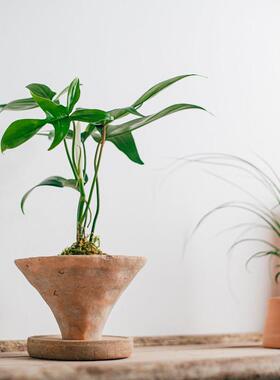 此莳 个性复古手工斗笠型陶盆带托盘苔藓球花盆